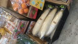 大きくて立派な...