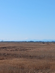 今日は、1月1...