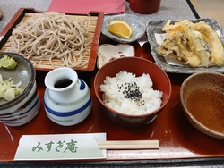 近くの公園を散...