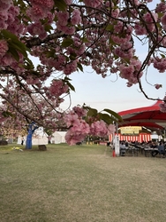 この春2度目の...