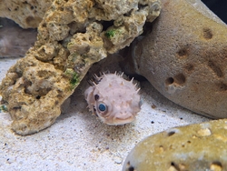 ずっと行ってみ...