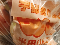 本日は半田りん...