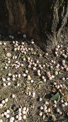 春・夏・秋・冬...