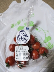 県外への旅行の...