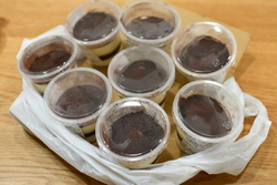 私もこどもも大...