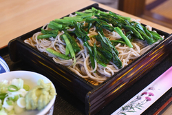 平日ランチタイ...