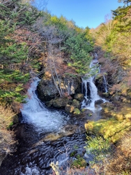 毎年、各地の紅...
