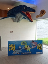 特別展“海の王...