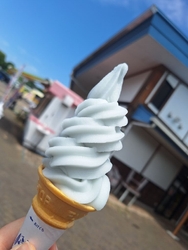 偶然通りかかっ...