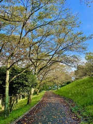いつもの通り朝...