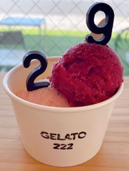 10種類あるジ...