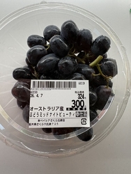 近くまで来たの...
