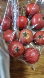 宇都宮市や那須...
