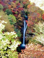 今日はお天気が...