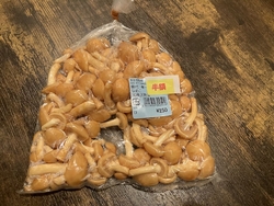なめこが半額だ...