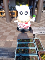 アグリパル塩原...