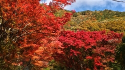 塩那スカイライ...