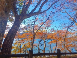 目的地は湯滝で...