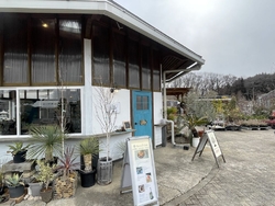 販売している花...