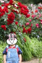 時間が空いたの...