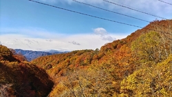 日塩もみじライ...