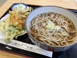 今日はてんかけ...