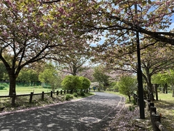 昼食後、夕飯＆...