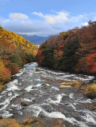 さすがにここま...