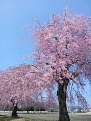 今日は、3月2...