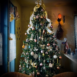 今日は久しぶり...