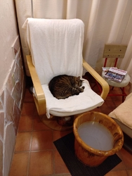 今日も心身とも...