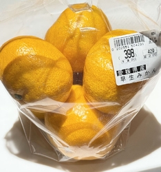 かましん戸祭店...