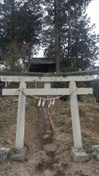 サーフさんの口...