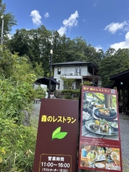 益子ひまわり祭...