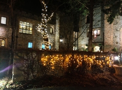 クリスマスディ...