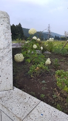 昔の粟野地方の...