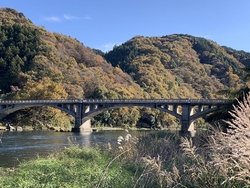 県道29号（常...