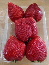 おみやに立派な...