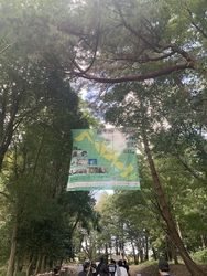 初めてベリテン...