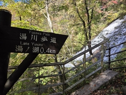 湯滝の豪快な流...