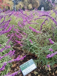 今日は、いつも...