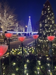 イルミネーショ...