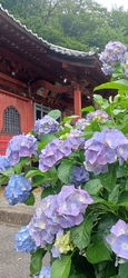今日は、６月1...