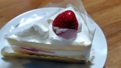 久しぶりにショ...