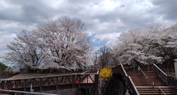 平日午前中訪問...