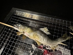 県北にキャンプ...