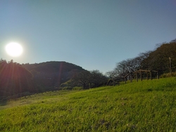 久し振りの西方...