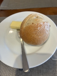 近くでお散歩を...