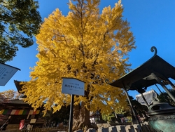 足利散策の旅。...