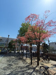 街中を散策中に...